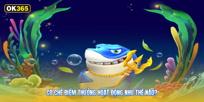 Cơ Chế Điểm Thưởng Hoạt Động Như Thế Nào?