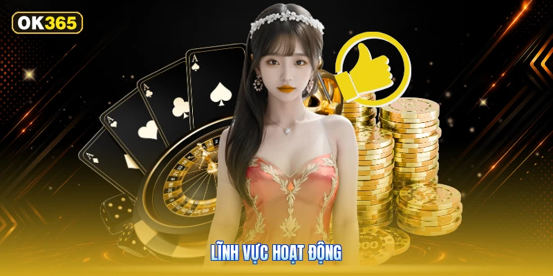 Lĩnh Vực Hoạt Động