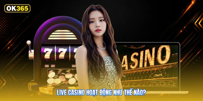 Live Casino Hoạt Động Như Thế Nào?